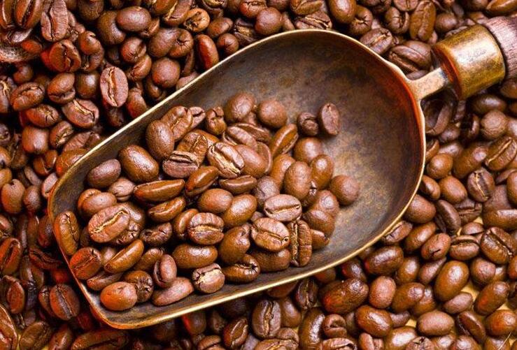 進(jìn)口食品境外注冊生產(chǎn)企業(yè)注冊備案號代理流程(附案例評析)