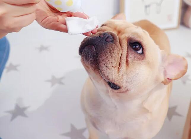 寵物用品進口報關(guān)關(guān)稅稅率(寵物用品進口關(guān)稅是多少?)