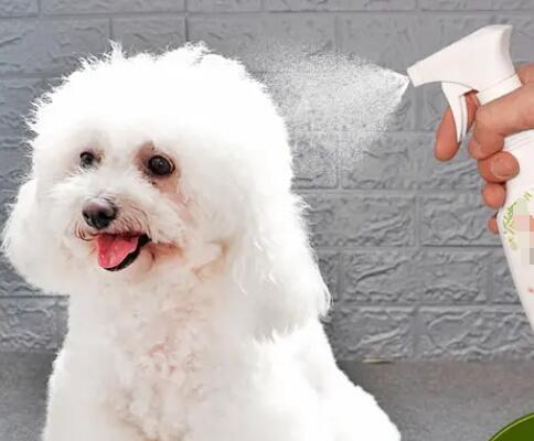 進口寵物香波需要什么手續?(寵物香波進口報關手續)