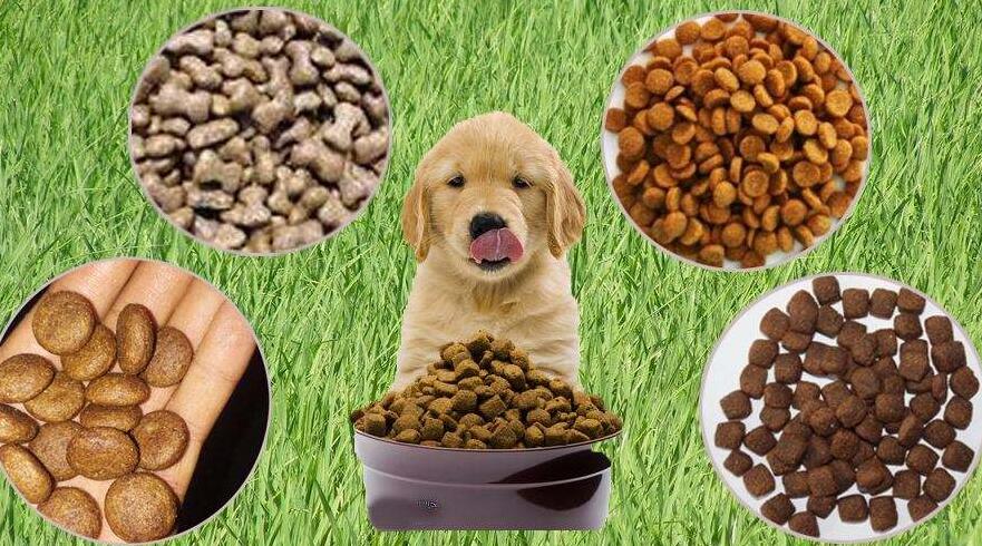 寵物食品進(jìn)口關(guān)稅稅率( 國外進(jìn)口寵物食品要不要交關(guān)稅)